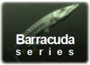 Barracuda series GE Energy