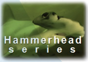 Hammerhead series GE Energy