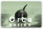 Orca series GE Energy