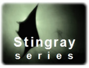 Stingray series GE Energy